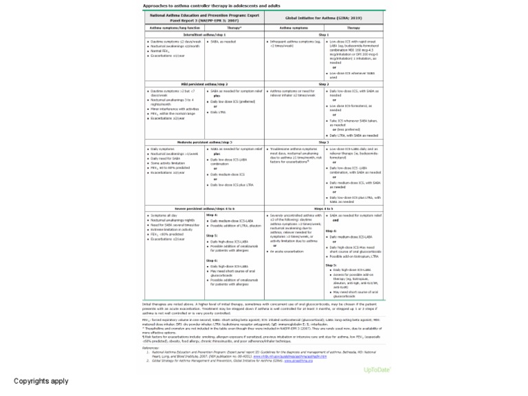 Asthma controller therapy in adolescents and adults pdf