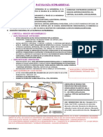 Endocrino 2