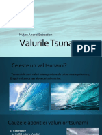 Valurile Tsunami