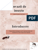 Invazii de Insecte