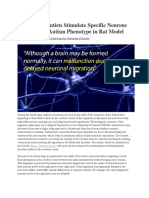 Big Step - Scientists Stimulate Specific Neurons