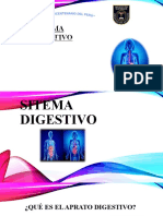 Sistema Digestivo