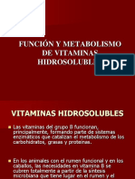 T10. Vitaminas Hidrosolubles 2022