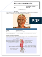 Atividade de Ciência 05-05 - Músculos