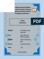 Cuadro Comparativo