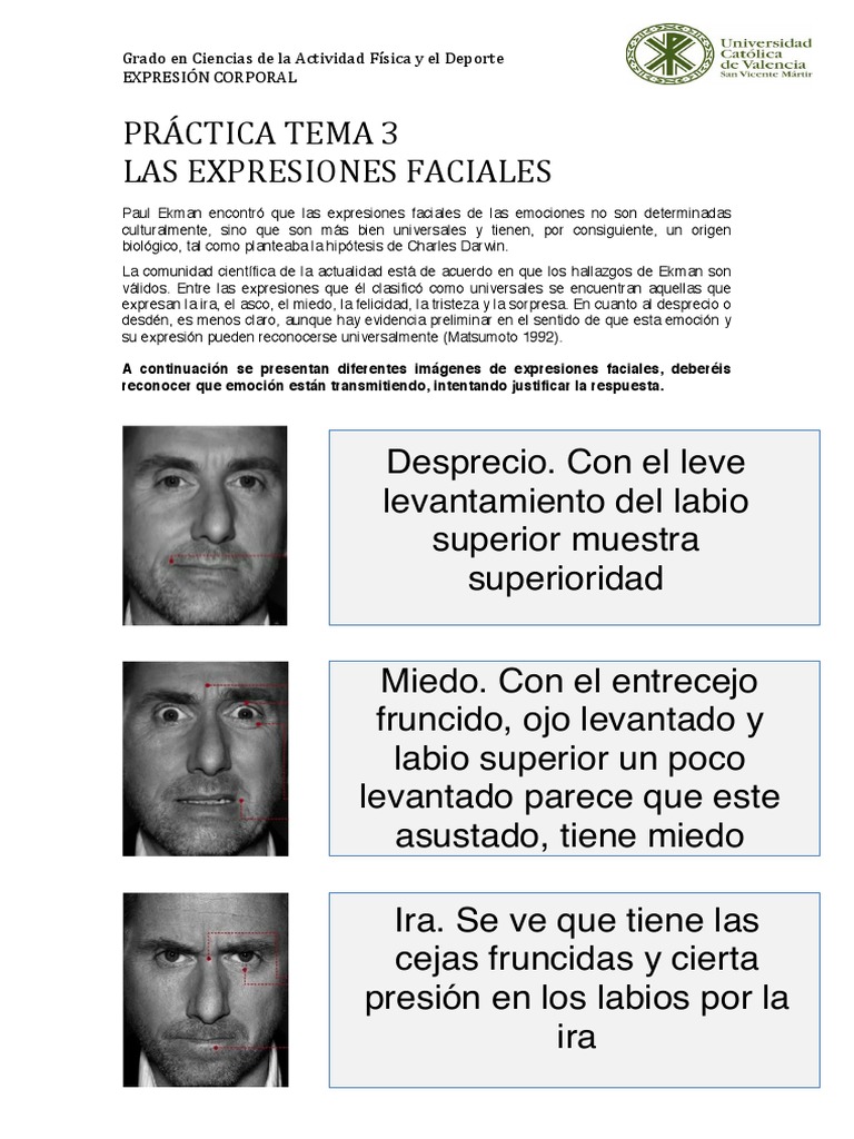 Expresiones Faciales y Emociones de Ekman | PDF | Las emociones ...