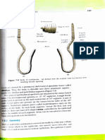 Structure and anatomy of the earthworm body