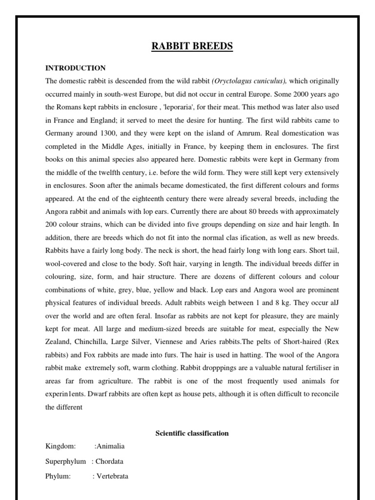 Rabbit Breeds | PDF | Inbreeding | Rabbit