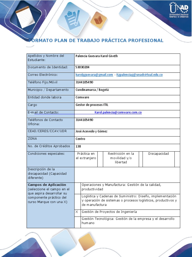 Anexo 1 Formato Plan de Trabajo Practica Profesional | PDF | Logística