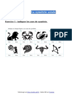 La Symetrie Axiale Exercice 1 CM1