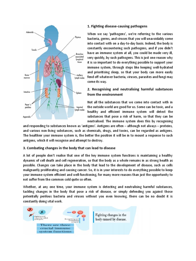 Projekt Biologji | Download Free PDF | Pathogen | Bacteria