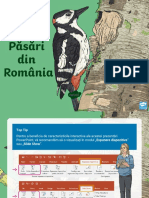 Ds 1645371988 Pasari Din Romania Prezentare Powerpoint - Ver - 3