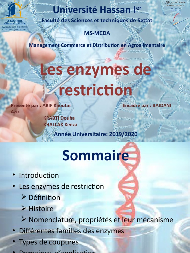 Les Enzymes de Restriction PDF Enzyme de restriction Biomolécules