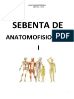 Anatomia Resumos 2