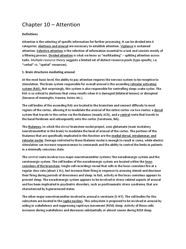 Chapter 10 summary pdf attention thalamus