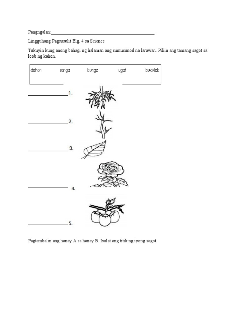 Summative Test Science 3 q3 | PDF