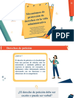 Mecanismos de Protección de Derechos en La Vida Administrativa