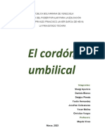 Cordón Umbilical Planificación