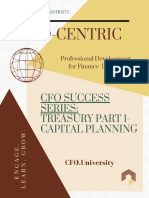 CFO Success Series - Treasury Part I - Capital Planning