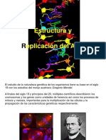 DNA y Replicacion