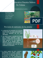 Exposicion de Biologia