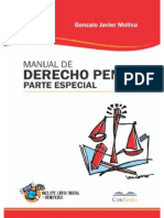 Manual de Derecho Penal. Parte Especial. 2021. Gonzalo Javier Molina