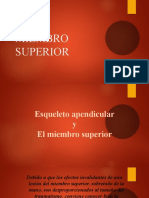 Modulo de Miembro Superior (Autoguardado) (Autoguardado)