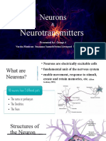 Neurons & Neurotransmitters: An Overview