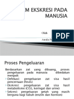 Sistem Eksresi Pada Manusia