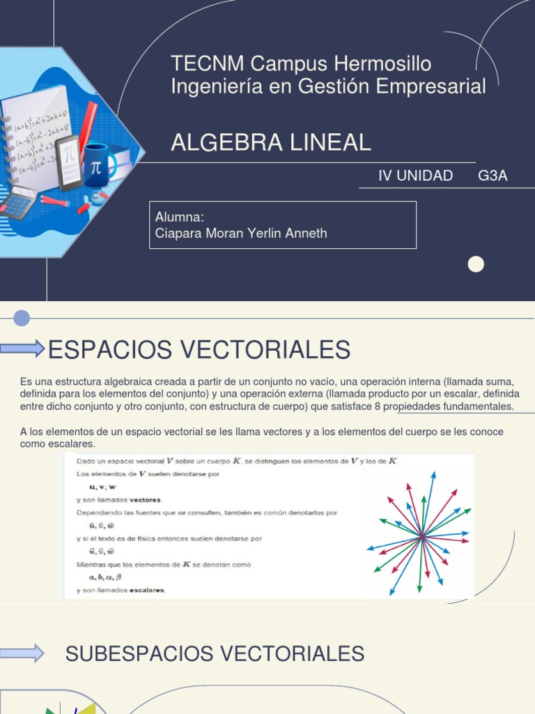 Espacios Vectoriales y Álgebra Lineal | PDF | Espacio vectorial | Base ...