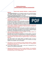 Preguntas Práctica de Laboratorio - Campo Elèctrico, Potencial Elèctrico y Superficies Equipotenciales