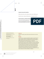 Mechanisms of DNA Uptake by Naturally Competent Bacteria - En.es