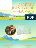 Aparato Digestivo de La Vaca