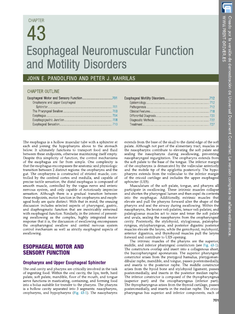 Esophageal Motor Disorders | PDF