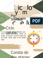 Ciclo Celular Meiosis