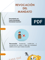 Renovacion mandataria.pptm.pptx