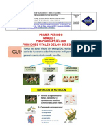 Guia 2 Ciencias Naturales Funciones Vitales