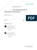 Morfología y Ecología Dental en Primates y Homininos