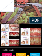 Destrucción tejidos periodontales