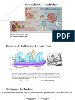 Sindrome Nefritico