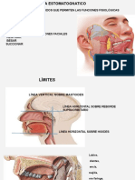 Sistema Estomatognatico PDF