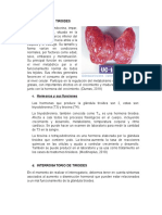 Evaluacion de Glandula Tiroides, Hormonas y Trastornos