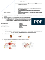 Evaluacion Diagnostico 2023