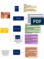 Actinomicosis