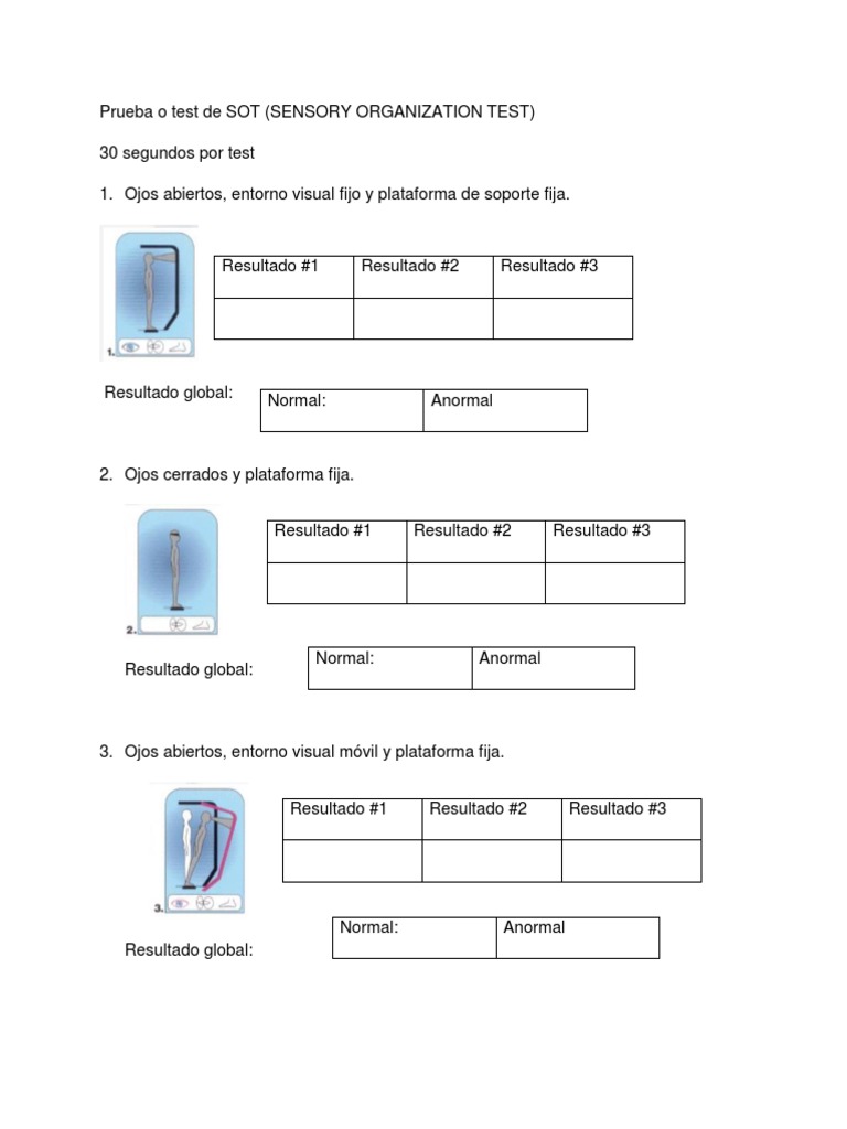 Test de Organización Sensorial (SOT) | PDF | Ciencia cognitiva ...