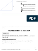 Propiedades de La Hepática - Botanical-Online