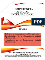 Competencia Judicial Internacional: Temas