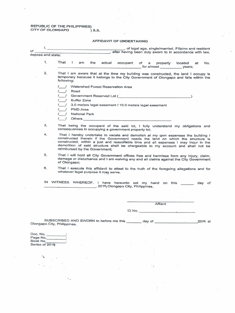 Affidavit of Undertaking - Any Development | PDF