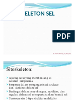 Sitoskeleton Sel Pada Hewan