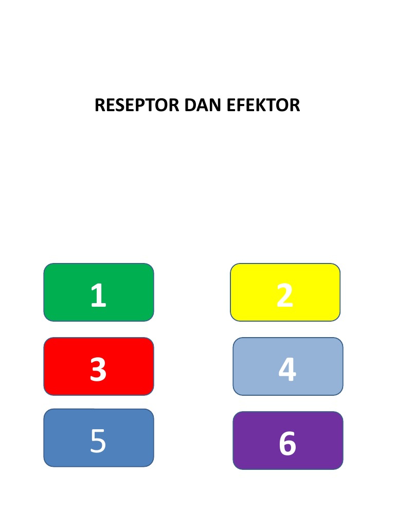 Reseptor Dan Efektor | PDF